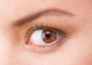 横浜のライブチャット求人を募集している店